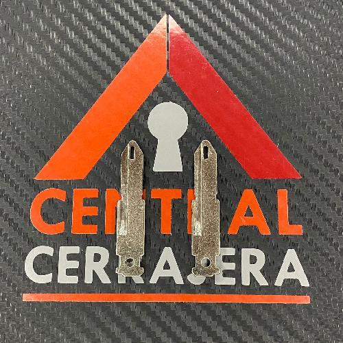 Inserto Renault Carcasa Original RN30(INSERTO 546)