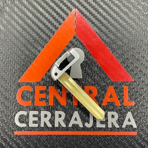 Inserto Remoto Proximidad KIA / Hyundai (Inserto 417)