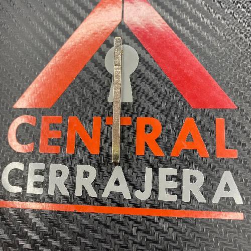 Inserto Renault Carcasa Original Regata (Inserto 557)