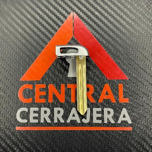 Inserto Remoto Proximidad KIA / Hyundai (Inserto 417)