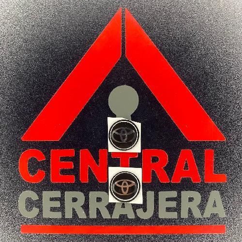 Logo Gota / Toyota / KD / VVDI / KYDZ / (INSERTO 259)