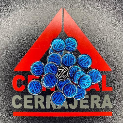 Logo Metal / Mg / KD / VVDI / KYDZ / (INSERTO 262)