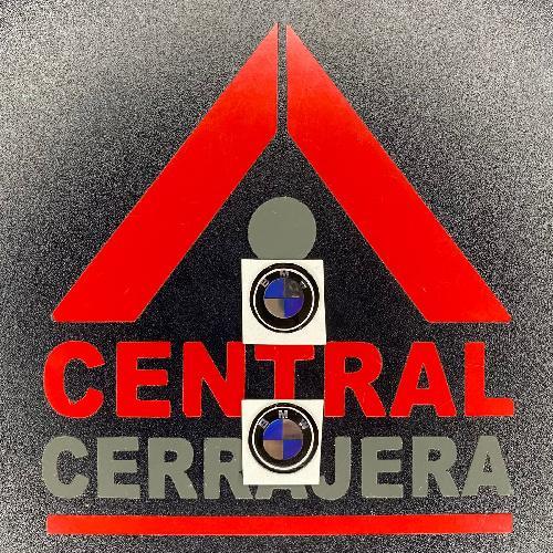 Logo Gota / BMW / KD / VVDI / KYDZ / (INSERTO 290)