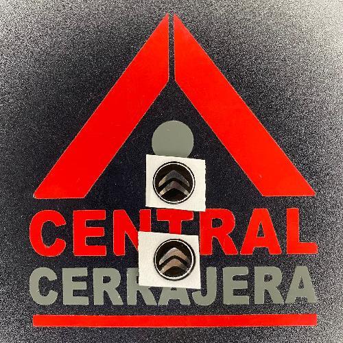 Logo Gota / Citroen / KD / VVDI / KYDZ / (INSERTO 294)