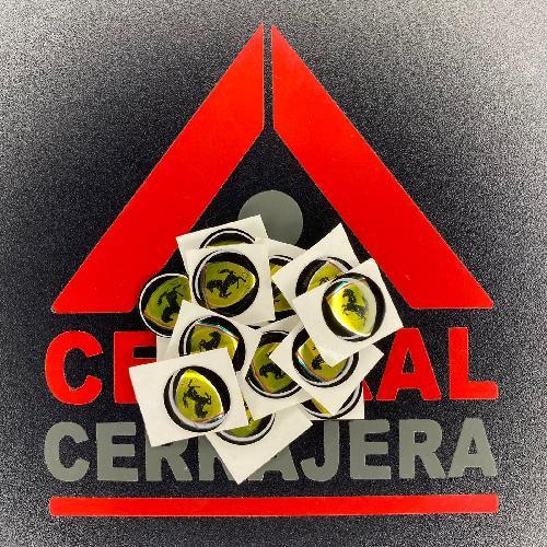 Logo Gota / Ferrari / KD / VVDI / KYDZ / (INSERTO 296)