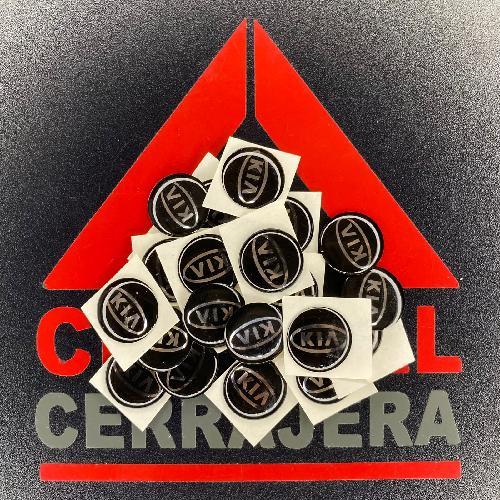 Logo Gota / Kia / KD / VVDI / KYDZ / (INSERTO 310)