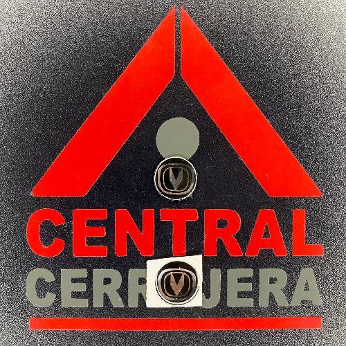 Logo Gota / Changan / KD / VVDI / KYDZ / (INSERTO 313)