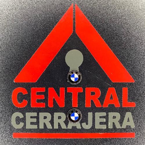 Logo Carcasa Original Metal / BMW / 11MM (INSERTO 319)