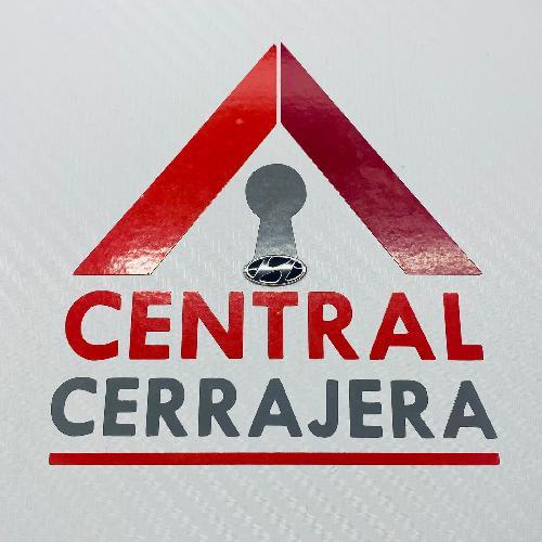 Logo Hyundai Carcasa Original Chico (INSERTO 448)
