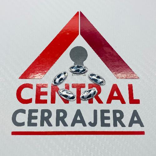 Logo Hyundai Carcasa Original Chico (INSERTO 448)